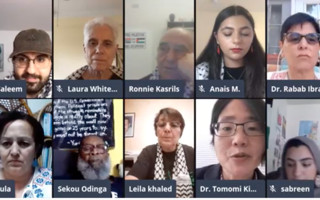 Panélistes lors du webinaire organisé par le département d'études des ethnies et diasporas arabes et musulmanes de l'université d'État de San Francisco le 22 septembre 2020. (Capture d'écran/YouTube)