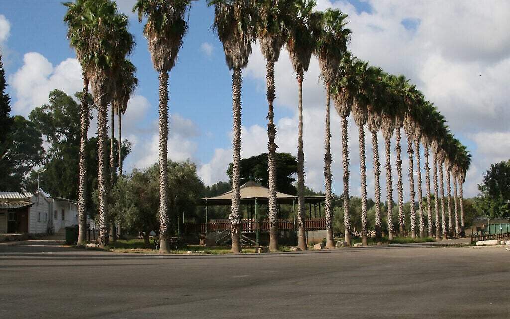 Une aire de pique-nique dans le jardin archéologique de Givat Yeshayahu. (Shmuel Bar-Am)