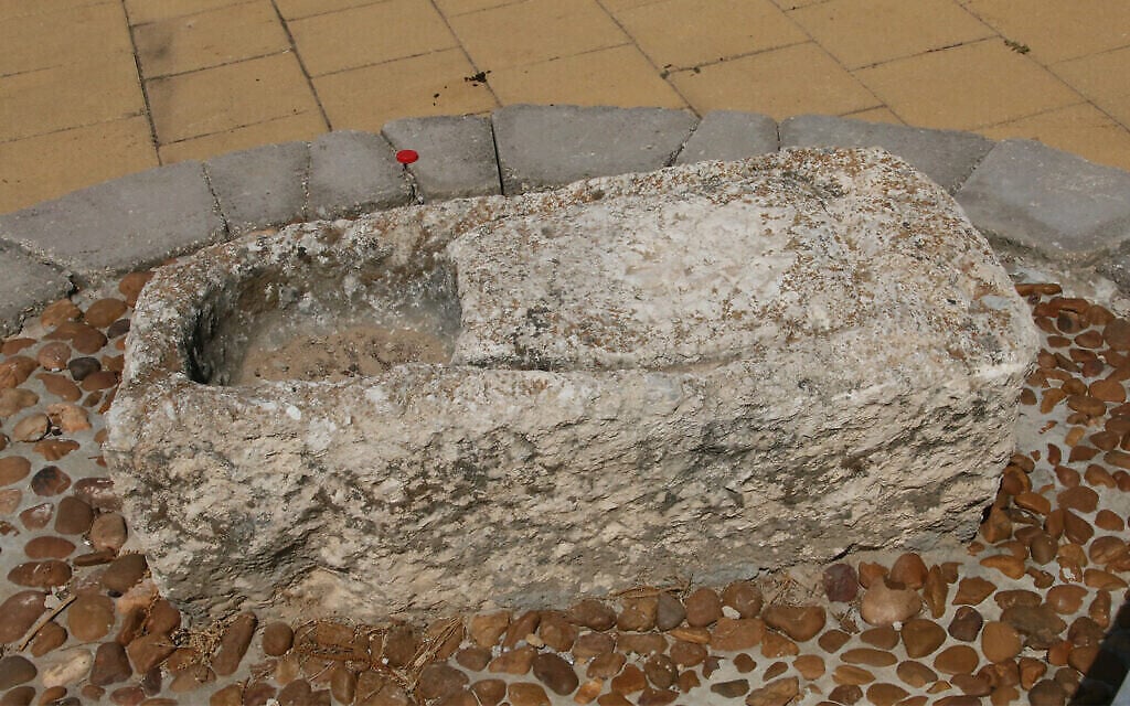 Un petit pressoir à olive à voir dans le jardin archéologique de Hod Hasharon, qui présente des antiquités de la vie quotidienne agricole de jadis. (Shmuel Bar-Am)