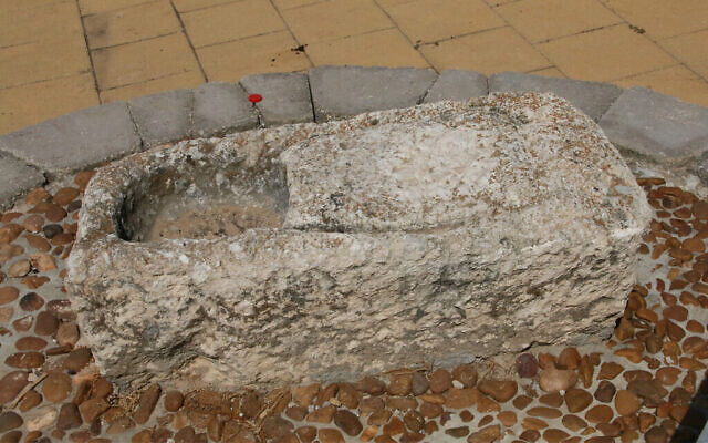 Un petit pressoir à olive à voir dans le jardin archéologique de Hod Hasharon, qui présente des antiquités de la vie quotidienne agricole de jadis. (Shmuel Bar-Am)