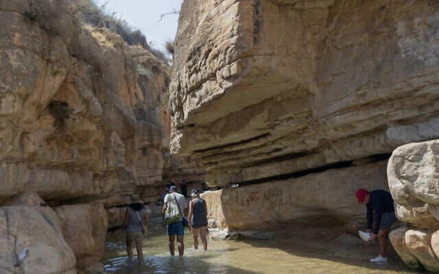 Des Israéliens se rendent à une source d'eau pour se rafraîchir, pendant la vague de chaleur qui touche la région, à Wadi Qelt, près de la ville de Jéricho en Cisjordanie, le vendredi 4 septembre 2020. (AP Photo/Nasser Nasser)