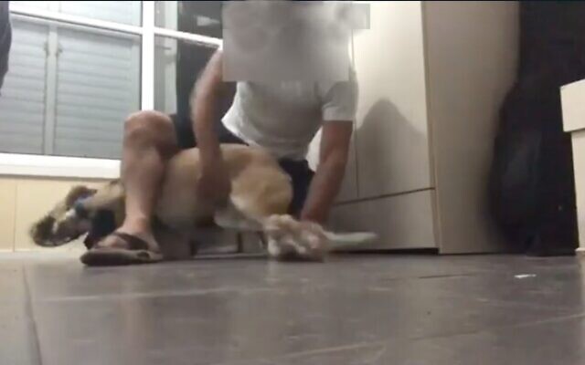 Capture d'écran d'une vidéo d'un homme de Bat Yam maltraitant un chien. (Douzième chaîne)