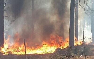Un incendie près de Nof Hagalil dans le nord d'Israël, le 9 octobre 2020. (Crédit : Conseil de Nof Hagalil)