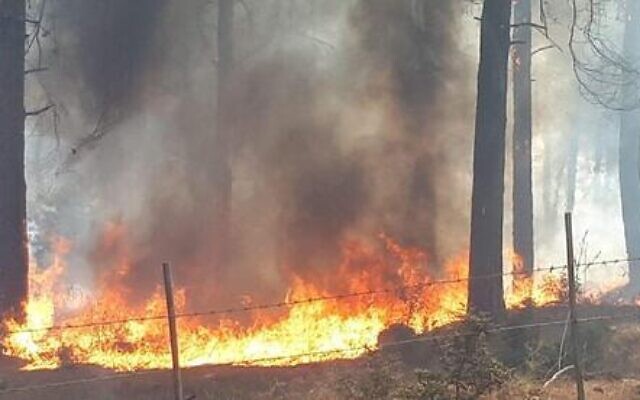 Un incendie près de Nof Hagalil dans le nord d'Israël, le 9 octobre 2020. (Crédit : Conseil de Nof Hagalil)