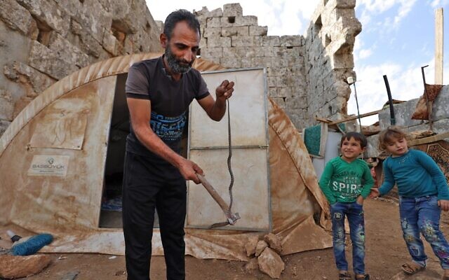 Des réfugiés syriens dans des ruines de l'ère byzantine à Baqirha, le 1er novembre 2020. (Crédit : Abdulaziz ketaz / AFP)