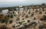 L'agriculteur syrien Ayman Ibrahim récoltant des fougères aquatiques Azolla utilisées comme aliments pour le bétail dans la ville de Kafr Takharim, dans la province d'Idleb, au nord-ouest de la Syrie, le 11 décembre 2020. (Crédit : AAREF WATAD / AFP)