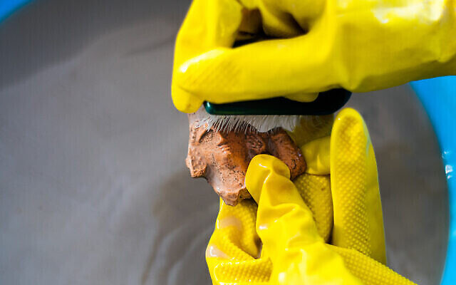 Une figurine trouvée lors des fouilles de Beit Nattif à Beit Shemesh en train d'être lavée. (Crédit : Yoli Schwartz/Autorité israélienne des antiquités) Une figurine trouvée lors des fouilles de Beit Nattif à Beit Shemesh en train d'être lavée. (Crédit : Yoli Schwartz/Autorité israélienne des antiquités)