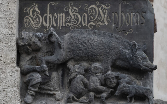 Cette gravure qui figure sur la façade de l'église St. Marien à Wittenberg, en Allemagne, représente des Juifs tétant une truie. (Crédit : AP Photo/Jens Meyer/Dossier)