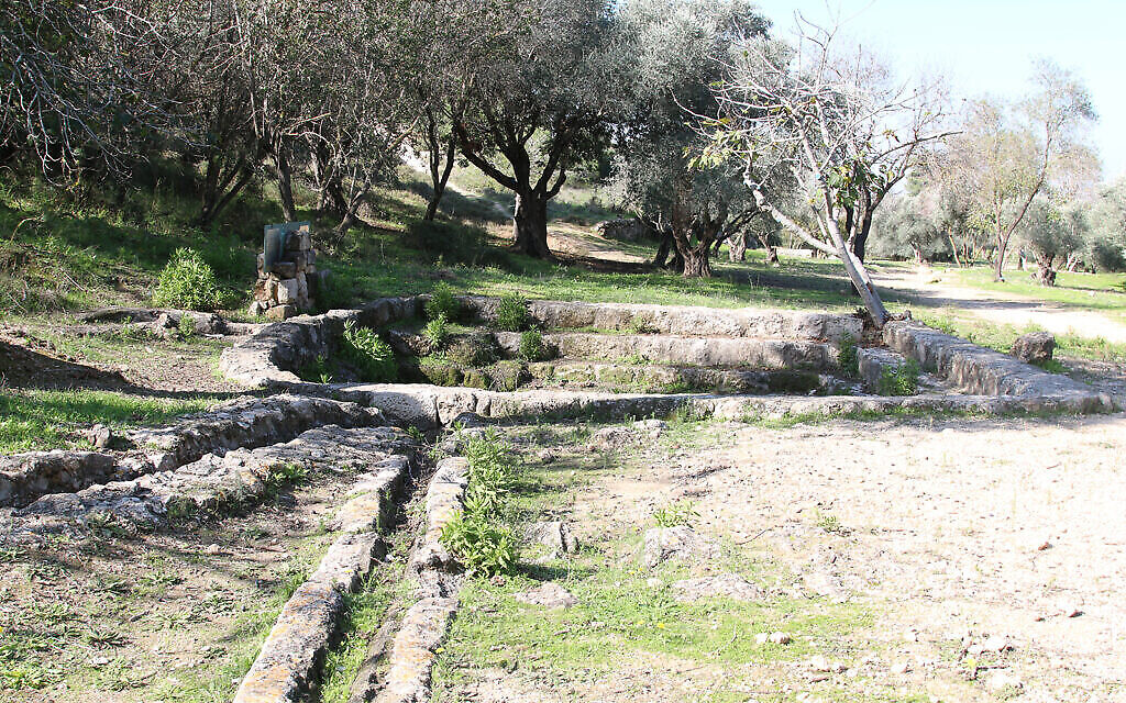Un ancien aqueduc et une piscine dans le parc d'Ayalon Canada. (Crédit : Shmuel Bar-Am)