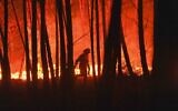 Photo d'illustration : Un pompier pendant un incendie aux abords du village de Roqueiro, au Portugal, le 14 septembre 2020. (Crédit : AP Photo/Sergio Azenha, File)