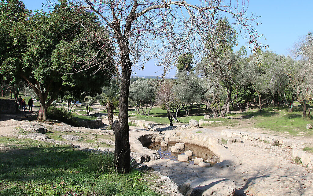 La vallée des sources, située à l'extérieur de Modiin, dispose d'un sentier de randonnée de 40 minutes. (Crédit : Shmuel Bar-Am)