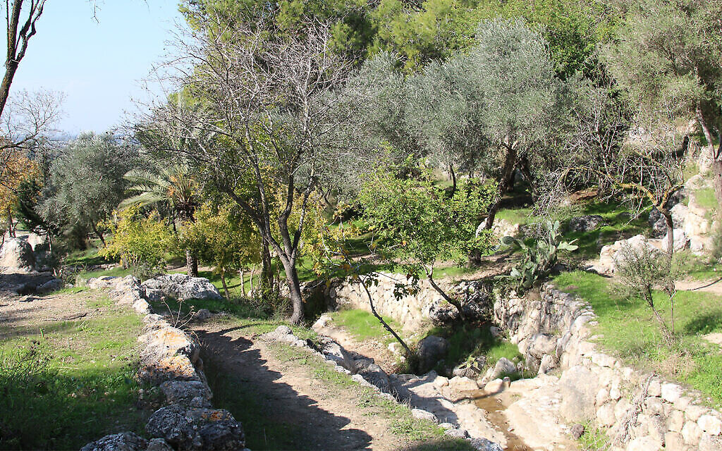 La vallée des sources, à l'extérieur de Modiin, présente des vestiges archéologiques, notamment des grottes résidentielles de l'époque romaine et des aqueducs en pierre. (Crédit : Shmuel Bar-Am)