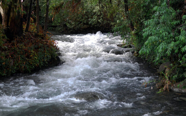 Vue du ruisseau Hatzbani, ou Snir, dans le nord d'Israël, en 2009. (Crédit : Hamad Almakt / Flash 90) Vue du ruisseau Hatzbani, ou Snir, dans le nord d'Israël, en 2009. (Crédit : Hamad Almakt / Flash 90)