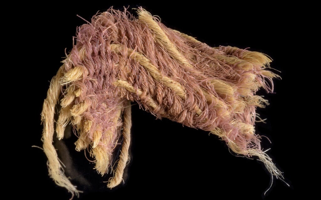 Un fragment du rare tissu pourpre retrouvé dans la vallée de la Timna, datant de l'an 1000 avant l'ère commune. (Crédit : Dafna Gazit, Autorité israélienne des antiquités)
