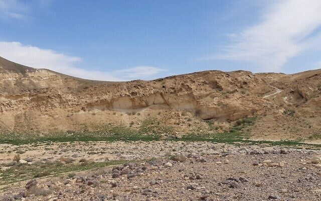 Une végétation riche au-dessus du lit de rivière pollué à Ashalim, tandis qu'elle est bien plus clairsemée sur le devant, touché par la catastrophe écologique entraînée par un déversement de produits toxiques au mois de juin de 2017. Photo prise le 29 avril 2019. (Autorisation :  HaMaarag)