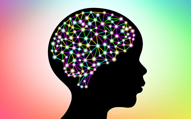 Illustration d'un cerveau humain. (apagafonova via iStock by Getty Images)