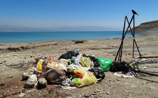 Des ordures sur les rives de la mer Morte. (Crédit : Dov Greenblat, Société de la Protection de la Nature en Israël)