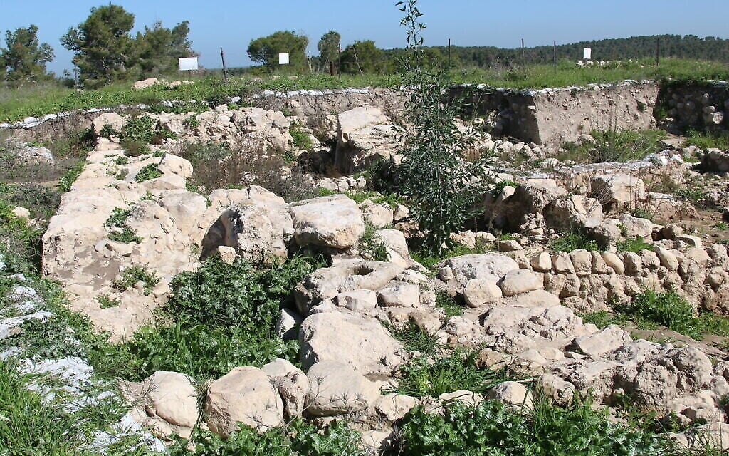 La ville biblique de Ziklag date du 12è siècle avant l'ère commune. (Crédit : Shmuel Bar-Am)