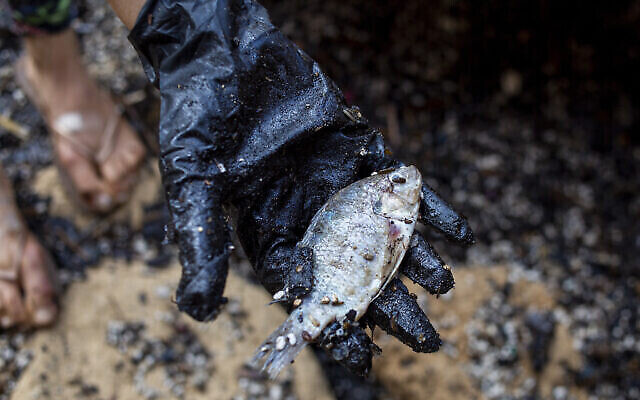 Une femme tient un poisson mort après l'avoir nettoyé du goudron qui s'était déposé sur ses écailles dans la réserve naturelle de Gador, près de Hadera, le 20 février 2021. (Crédit : AP Photo/Ariel Schalit)