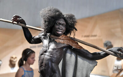 Illustration : Reconstitution d'un Homo erectus vient d'un million six cent mille ans, au musée de Néendertal de Mettmann, en Allemagne, le 3 juillet 2019. (Crédit : Martin Meissner/AP)