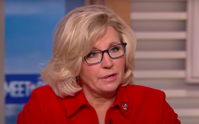 Liz Cheney (Crédit : capture d'écran YouTube)