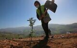 Des Jordaniens participent à la plantation d’arbres d'eucalyptus et de caroube près de la forêt de Kufranjah au nord d'Amman, le 11 février 2021. (Crédit : Khalil MAZRAAWI / AFP)