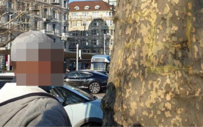 Un homme filmé gravant une croix gammée sur un arbre, à Zurich. (Crédit : Twitter / DR)