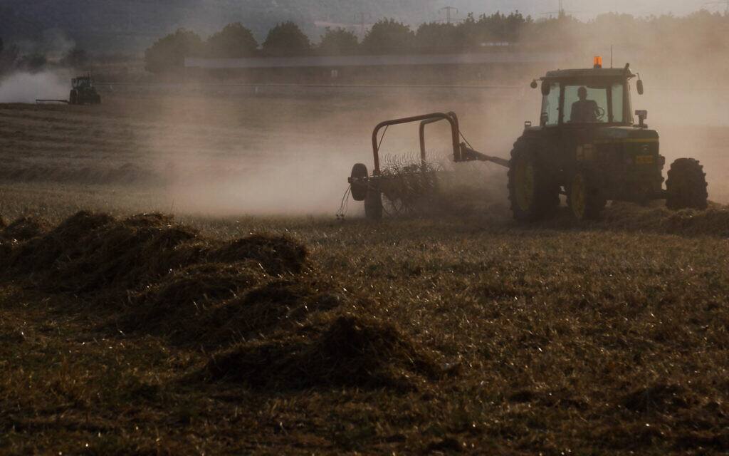 Un tracteur labourant un champ au kibboutz Tzora, près de la ville de Beit Shemesh, le 25 juin 2015. (Nati Shohat/Flash90)