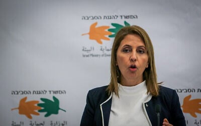 La ministre de la Protection de l'environnement, Gila Gamliel, lors d'une conférence de presse concernant une marée noire sur les plages israéliennes, dans les bureaux du ministère de la Protection de l'environnement à Jérusalem, le 3 mars 2021. (Yonatan Sindel/Flash90)