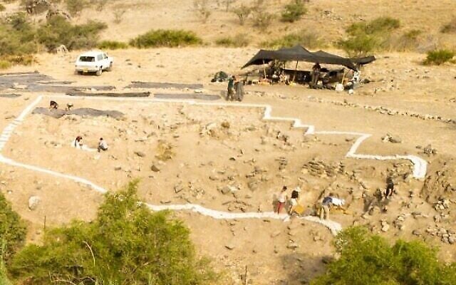 Les fouilles du site archéologique de Nahal Ein Gev II. (Leore Grosman / Université hébraïque) Les fouilles du site archéologique de Nahal Ein Gev II. (Leore Grosman / Université hébraïque)