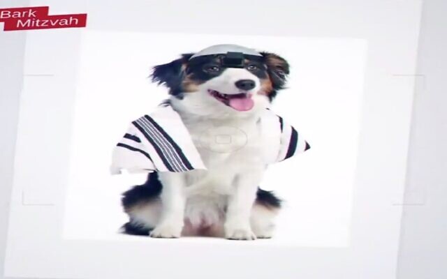 Capture d'écran d'une publicité de Yahadout HaTorah qui semblait comparer les juifs réformés convertis à des chiens. (Capture d'écran) Capture d'écran d'une publicité de Yahadout HaTorah qui semblait comparer les juifs réformés convertis à des chiens. (Capture d'écran)