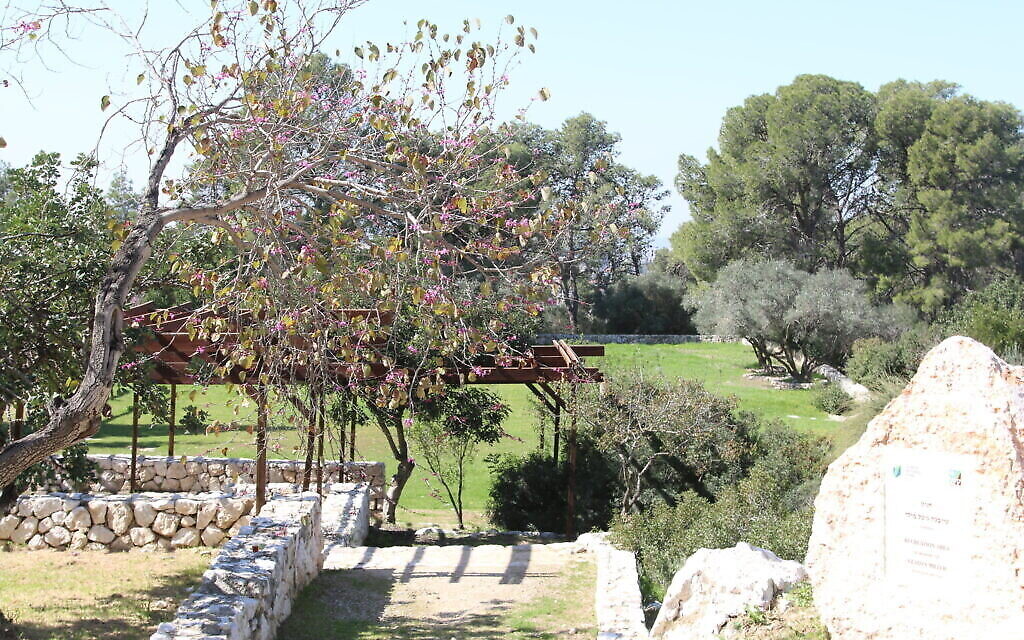 Le centre de loisirs Gladys Miller . (Crédit : Shmuel Bar-Am)