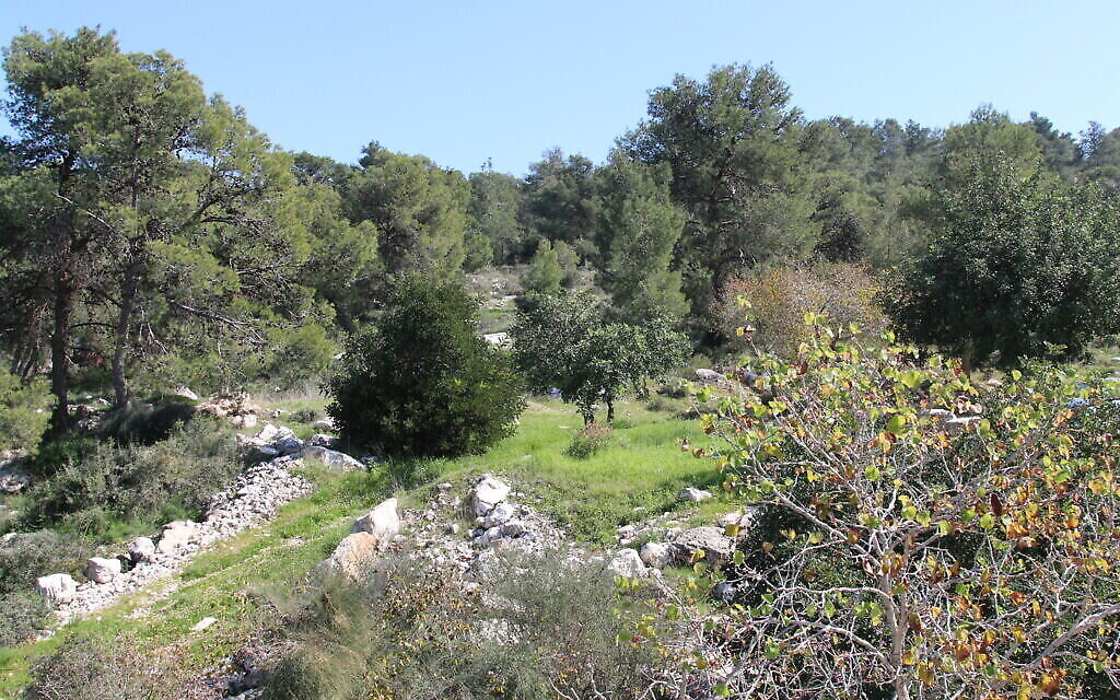 Le centre de loisirs Gladys Miller . (Crédit : Shmuel Bar-Am)