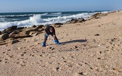 Un expert britannique prélève des échantillons de goudron sur une plage en vue d'une analyse détaillée, alors qu'Israël se prépare à poursuivre le Fonds international d'indemnisation pour les dommages dus à la pollution par les hydrocarbures, basé à Londres, à la suite d'une fuite désastreuse de pétrole en mer Méditerranée, en février 2021. (Ministère de la Protection de l'environnement)