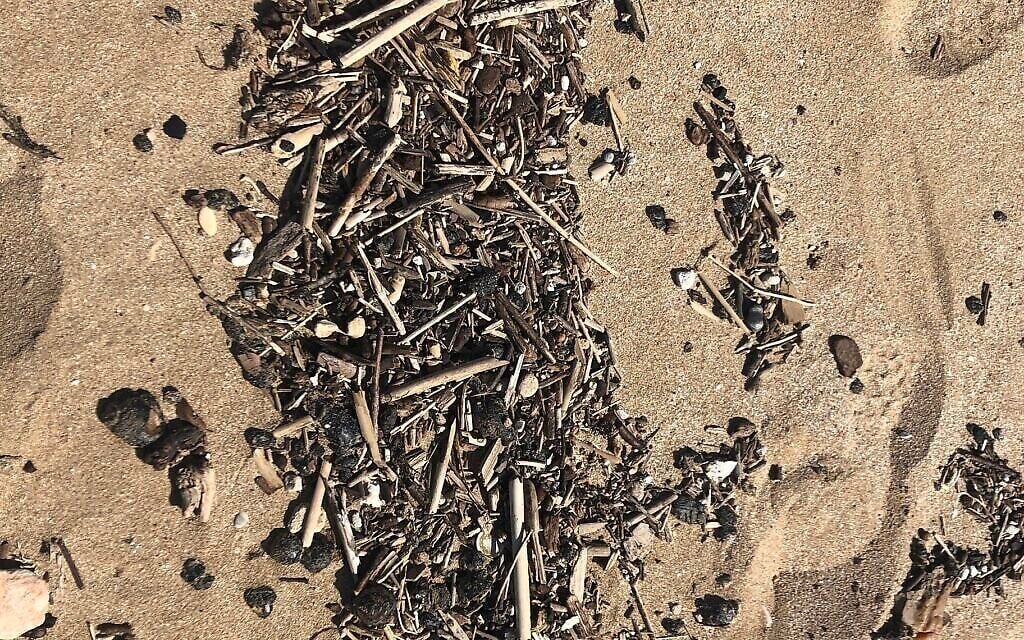 Du goudron mélangé à des déchets et à des bouts de bois sur la plage d'Achziv, le 25 février 2021. (Crédit : Sue Surkes/Times of Israel)