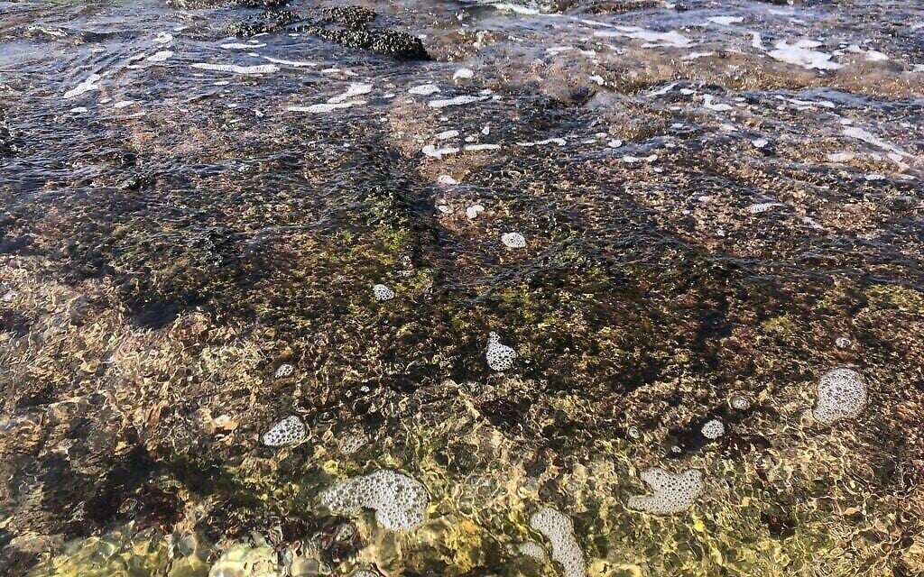Du goudron sous l'eau sur la plage d'Achziv, le 25 février 2021. (Crédit : Sue Surkes/Times of Israel)