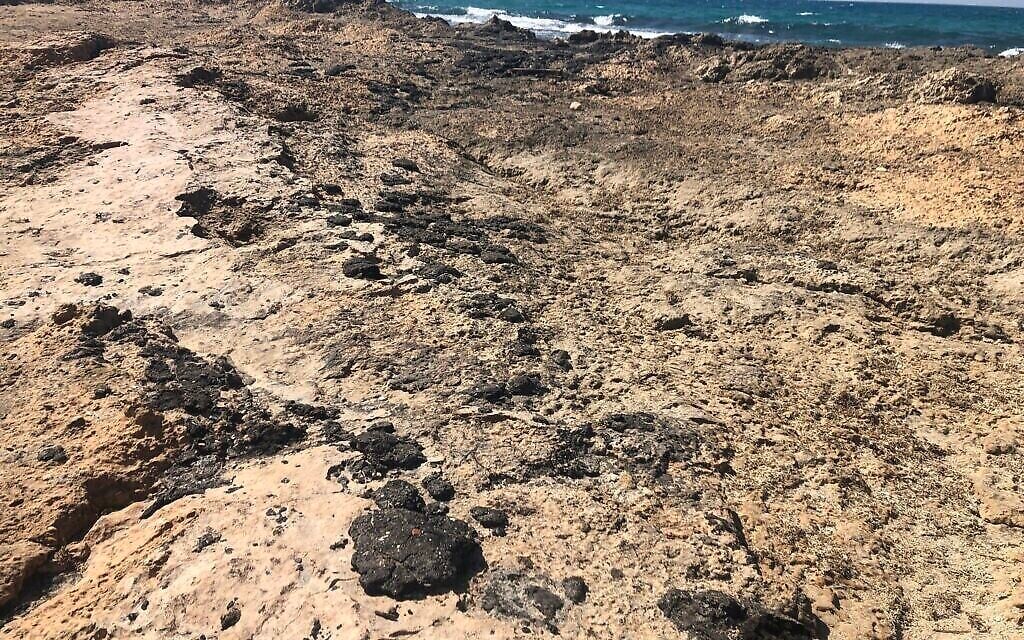 Du goudron sur les rochers sur la plage d'Achziv, le 25 février 2021. (Crédit : Sue Surkes/Times of Israel)