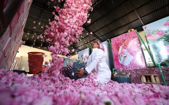 Un ouvrier de la ferme Bin Salman travaille avec des roses Damascena (Damas) pour produire de l'eau et de l'huile de rose, dans la ville de Taif, dans l'ouest de l'Arabie saoudite, le 11 avril 2021. (Crédit : Fayez Nureldine / AFP)