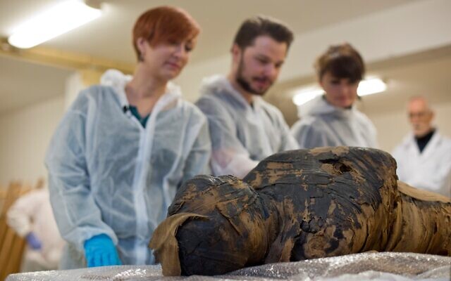 Une momie égyptienne enceinte, le premier cas du genre au monde, découverte en Pologne, en avril 2021. (Crédit : Aleksander Leydo (Leydo Film), Marcin Jaworski, Marzena Ożarek-Szilke i Stanisław Szilke / Warsaw Mummy Project / Musée national de Varsovie)