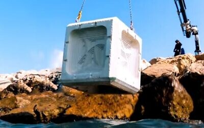 Au lieu de construire des blocs de béton - mauvais pour l'écologie marine, endommageant les écosystèmes des huîtres, des poissons et des coraux - ECOncrete utilise une technique connue sous le nom de biomimétisme, avec des produits en béton qui épousent la forme et la texture des systèmes naturels (Capture d'écran : YouTube)