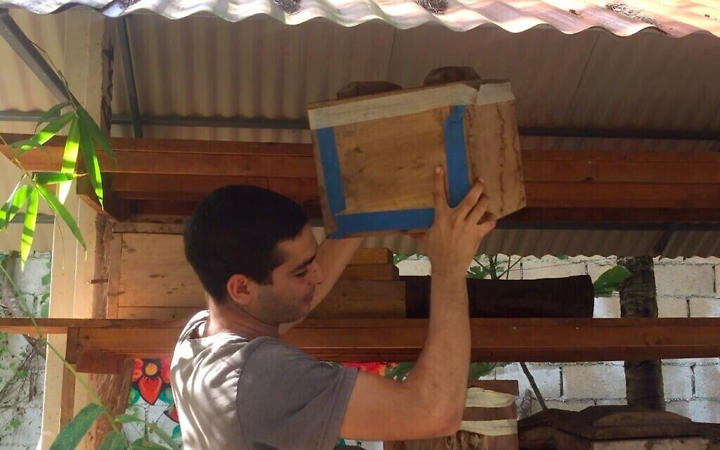 Nataniel Sagi descend une boîte contenant une ancienne ruche dans son sanctuaire d'abeilles sur l'île de Cozumel au Mexique, mars 2021. (Julie Masis)