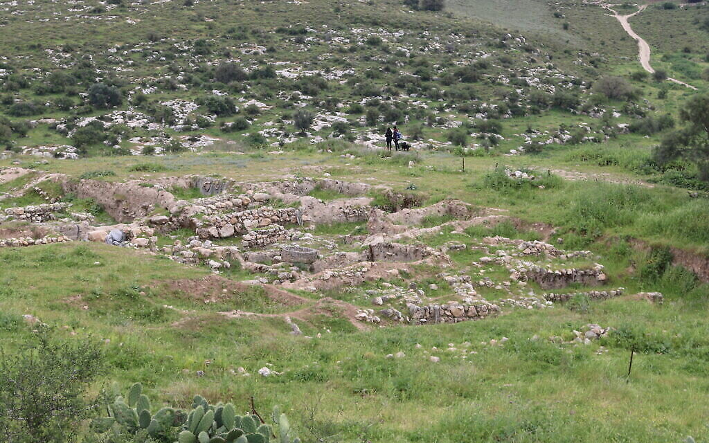 Le site de fouilles de Tel Tzafit. (Shmuel Bar-Am)