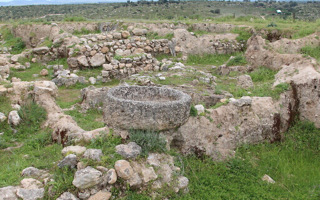 Fouilles en cours à Tel Tzafit. (Shmuel Bar-Am)