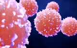Illustration : Cellules cancéreuses. (Crédit : Design Cells; iStock de Getty Images)