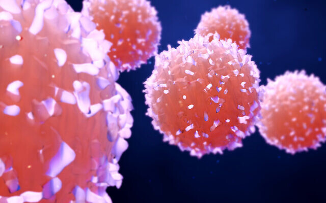 Illustration : Cellules cancéreuses. (Crédit : Design Cells; iStock de Getty Images)