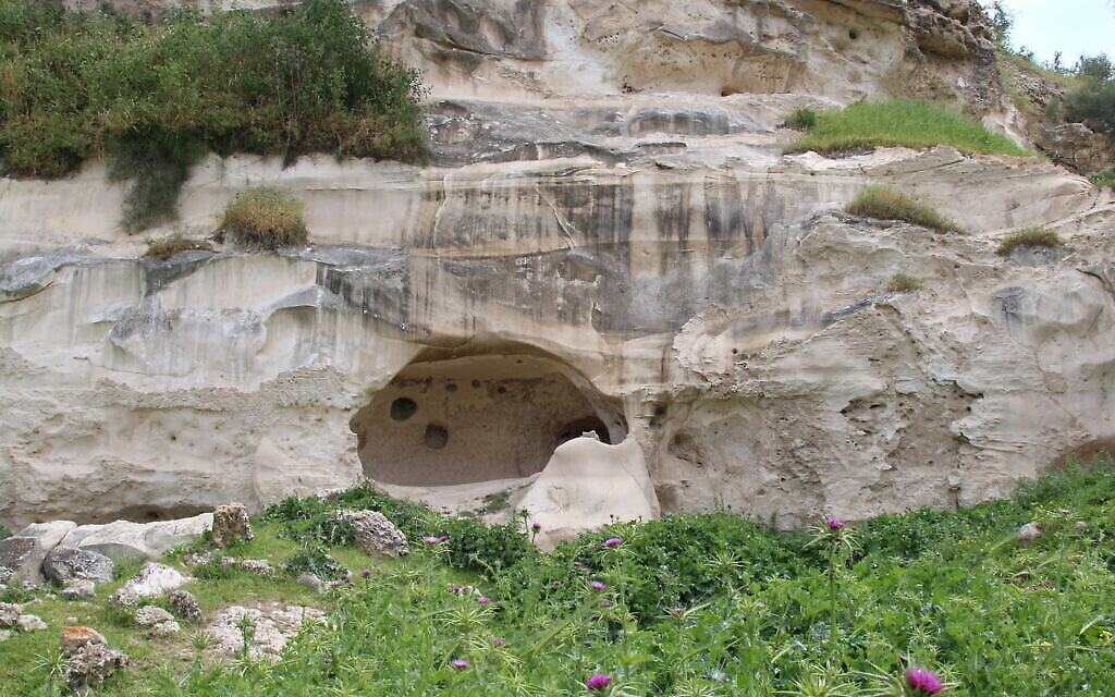 Les falaises blanches sous le site de la Blanche Garde à Tel Tzafit. (Shmuel Bar-Am)