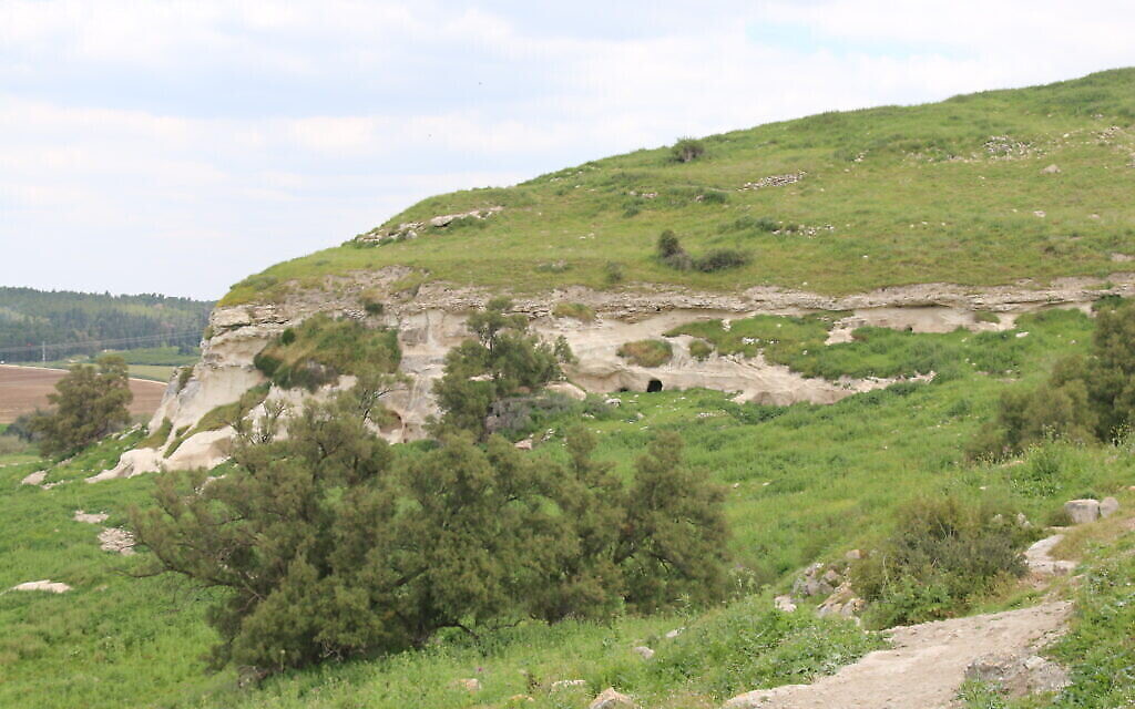 Les falaises blanches sous le site de la Blanche Garde à Tel Tzafit. (Shmuel Bar-Am)