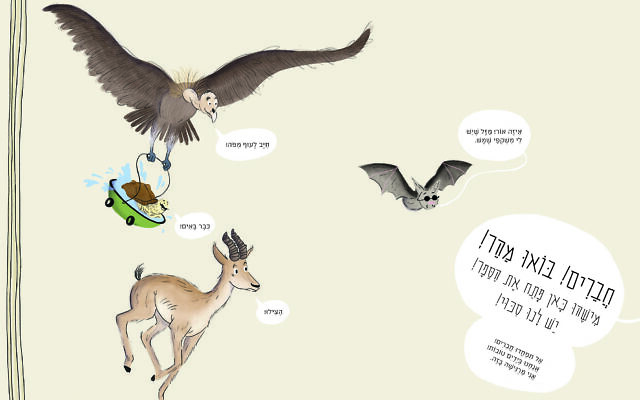 Illustration tirée du Livre rouge, commandé par l'Autorité israélienne pour la nature et les parcs, écrit par Shoham Smith et illustré par Talia Drigues. (Crédit : Autorité israélienne pour la nature et les parcs)