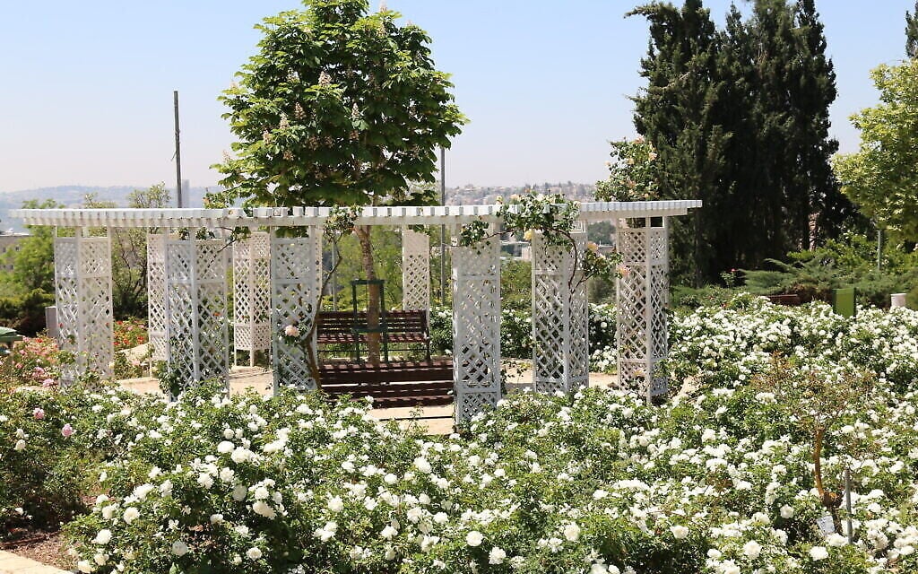 Le jardin français du Wohl Rose Park de Jérusalem, au mois d'avril 2021. (Crédit : Shmuel Bar-Am)