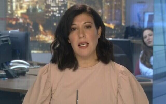 Shimrit Meir, analyste des affaires arabes. (Capture d'écran de la Douzième chaîne) Shimrit Meir, analyste des affaires arabes. (Capture d'écran de la Douzième chaîne)